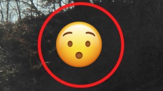 Nevěřil vlastním očím: Chlapík si dělal fotky v&nbsp;přírodě a&nbsp;nevěděl, co při&nbsp;tom zachytil