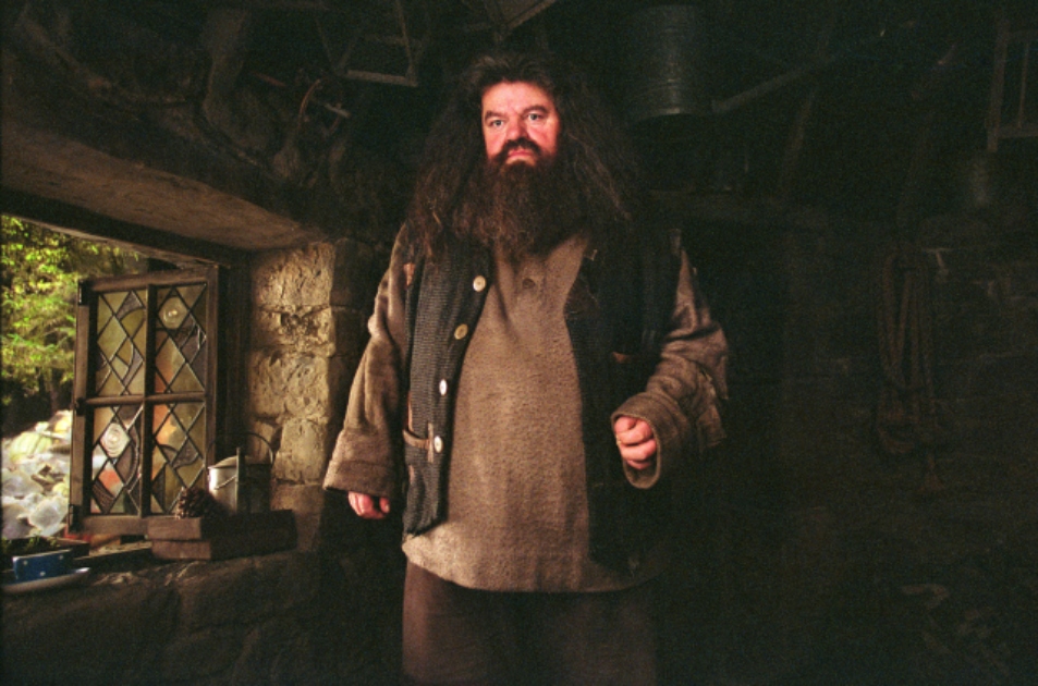 Já už tu nebudu, ale Hagrid ano. Hvězda Harryho Pottera dojala fanoušky k&nbsp;slzám