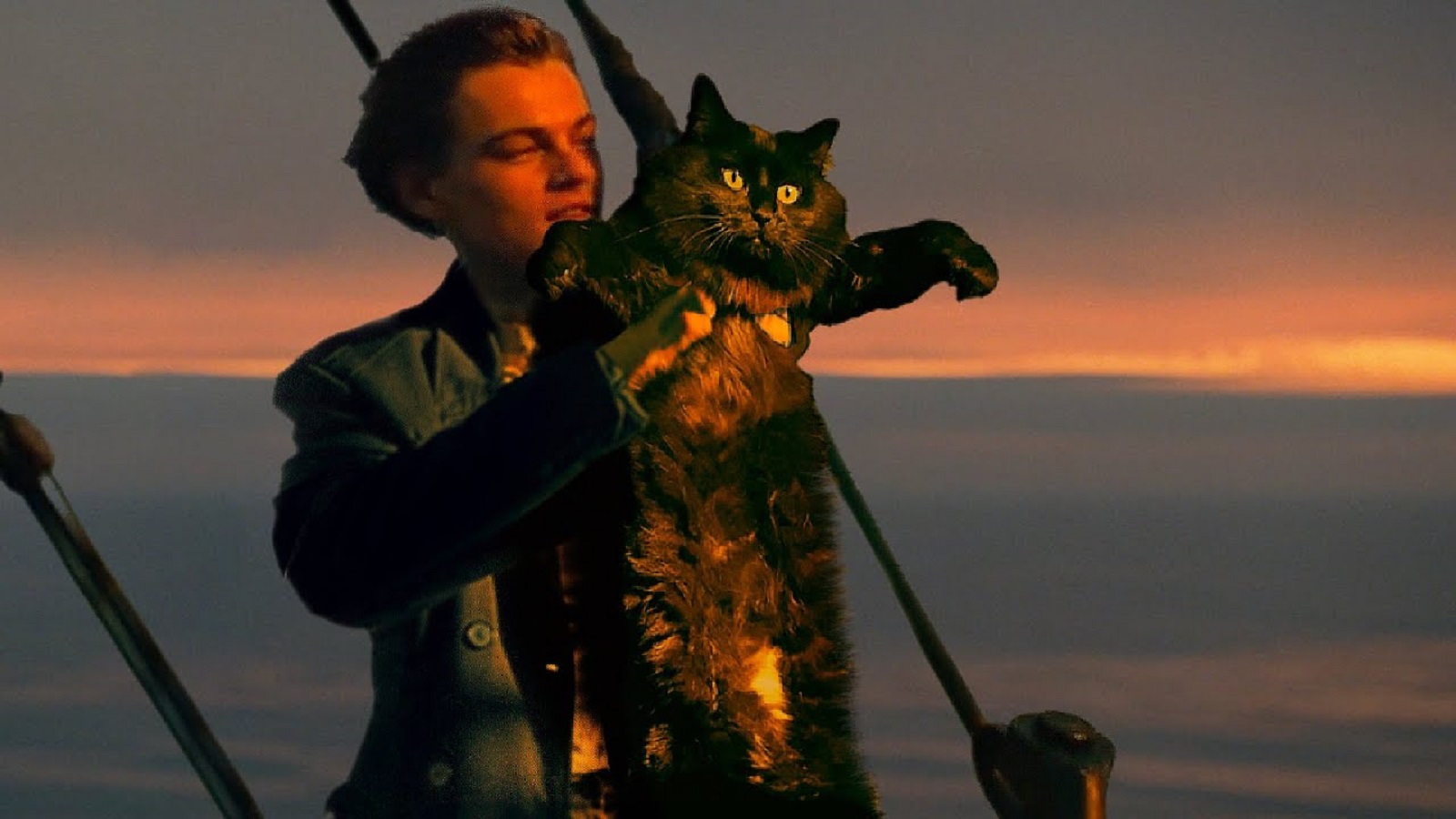 “Kočičí” Titanic baví internet: Mrkněte se na&nbsp;extrémně vtipné video