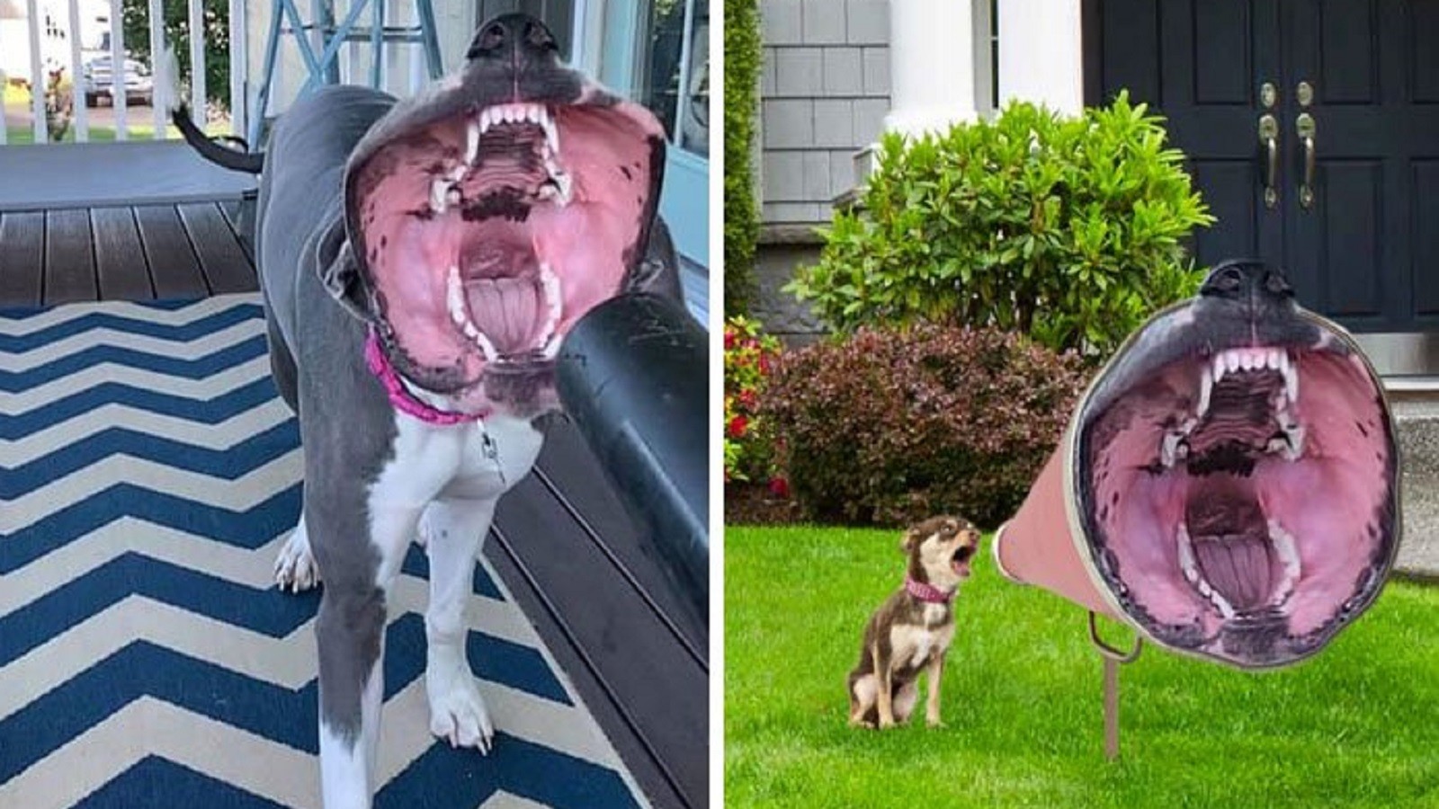 GALERIE: Několik fotografií, které ukazují, co dokáže Photoshop