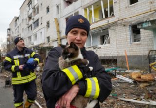Její kočky jsou pro&nbsp;ní vším. Seniorka utekla z&nbsp;Ukrajiny jen se svými zvířecími miláčky