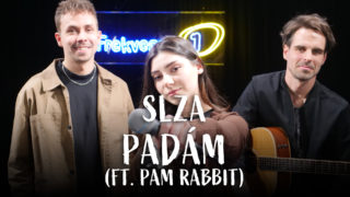 Slza feat. Pam Rabbit – Padám