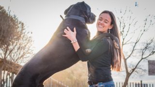 A můžu se na&nbsp;něm svézt? Největším psem na&nbsp;světě je německá doga Zeus