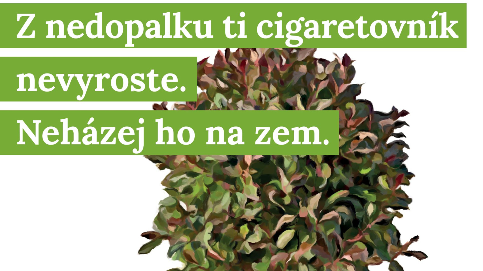 Tisková konference: Kampaň Cigaretovník o nakládání s nedopalky