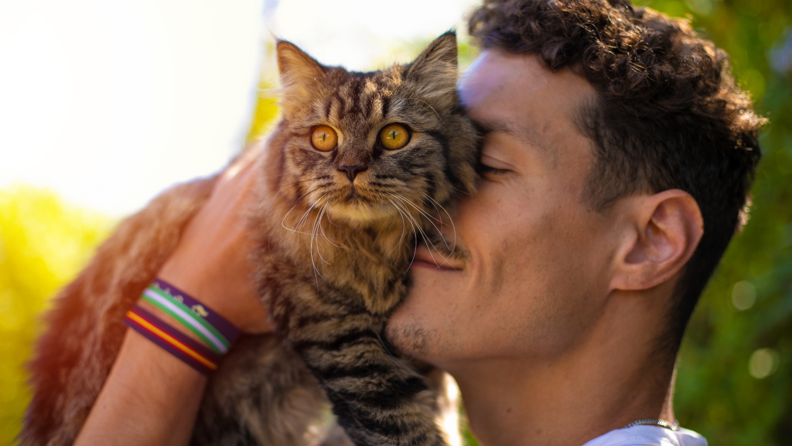 Kočičí rasismus a&nbsp;diskriminace? Muže vyhodili z&nbsp;obchodu kvůli asistenční kočce na&nbsp;rameni
