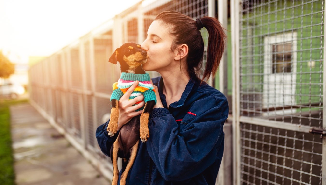 Chcete si pořídit pejska z&nbsp;útulku? Dejte mu čas, veterinární péči a&nbsp;spoustu lásky