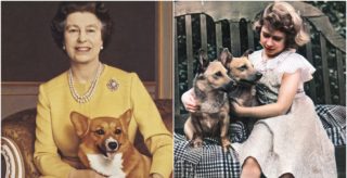 Žádná roztomilá stvoření. Milovaní psi královny Alžběty II. byli pěkní rošťáci, svou paničku ale zbožňovali
