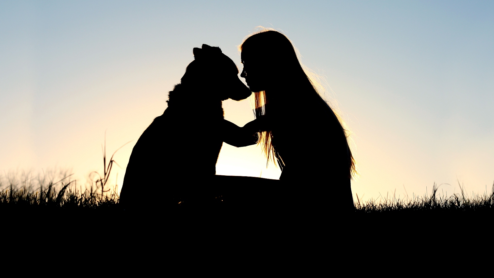 Máte své oblíbené zvíře? Dokáže o&nbsp;vás prozradit spoustu věcí