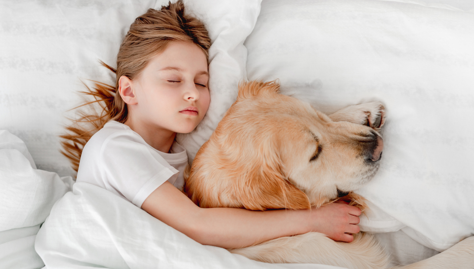 Psa v&nbsp;posteli pečlivě zvažte, zejména u&nbsp;dětí, radí veterinářka