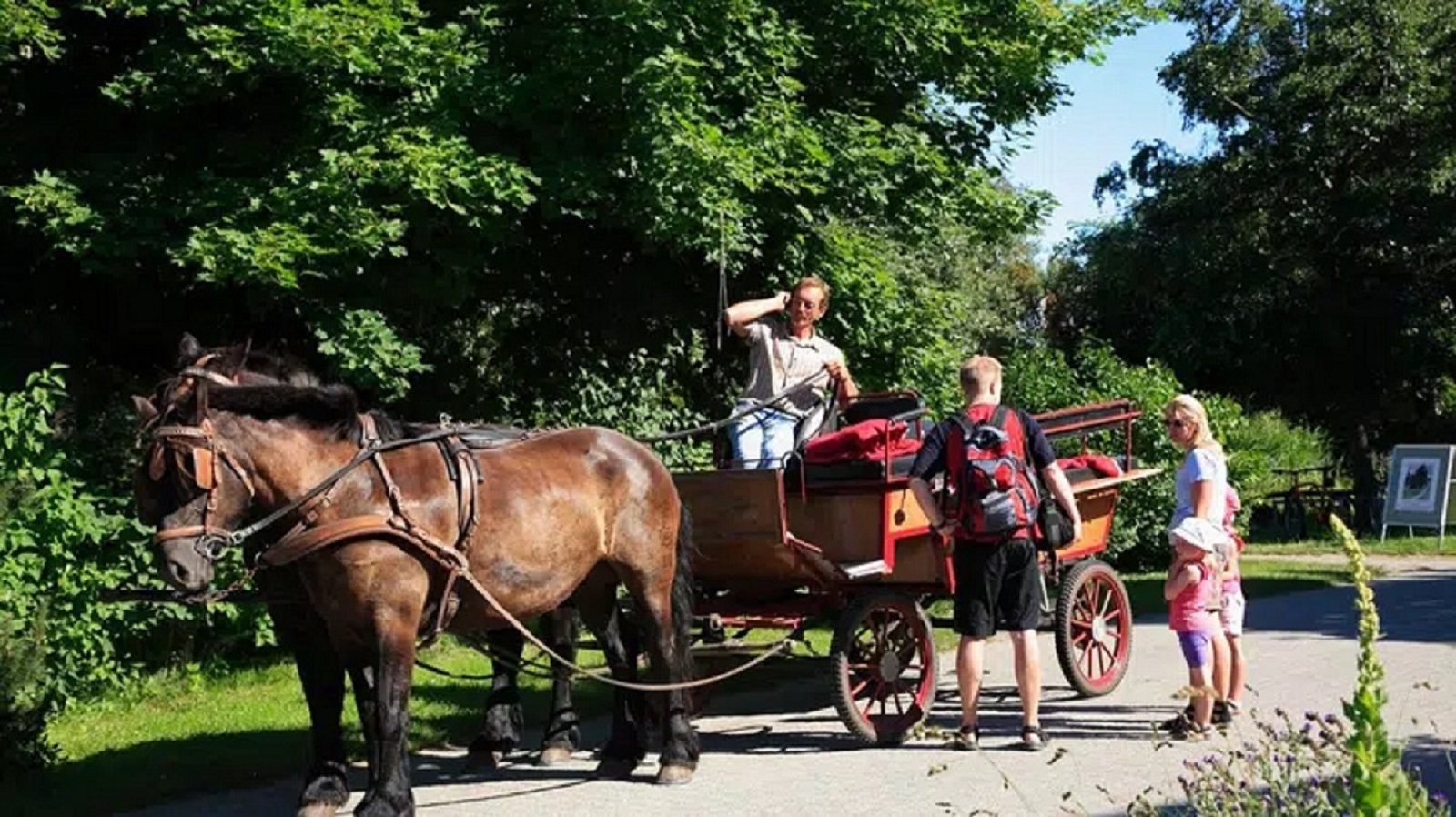 Všichni řidiči autobusu na německém ostrově onemocněli koronavirem. Starosta zvolil netradiční řešení: Jezdí se kočárem