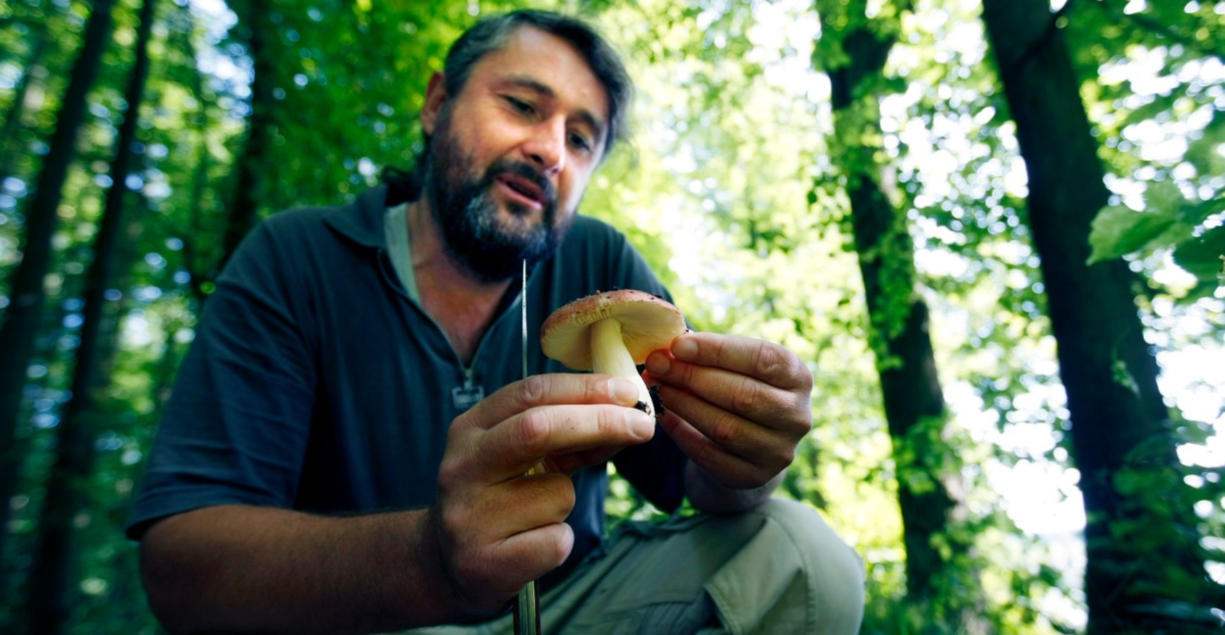 Pokud si nejste jistí druhem houby, raději ji nechte v&nbsp;lese, radí mykolog Tmej