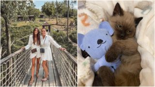 Modelka Nikol Švantnerová si zajela pro&nbsp;nový přírůstek do rodiny. Mamince pořídila kotě
