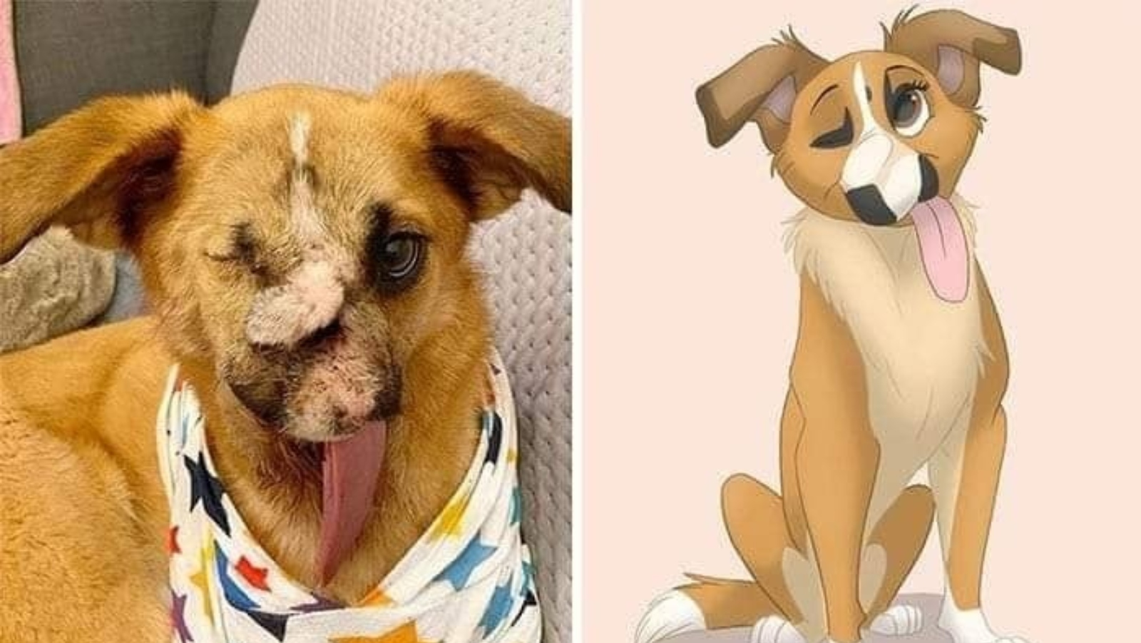 Umělec přetvořil fotky domácích mazlíčků do Disney světa. Při&nbsp;pohledu na&nbsp;ně vám srdíčko zaplesá