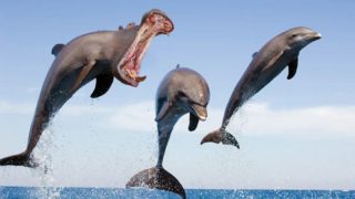 GALERIE: Mrkněte se na&nbsp;několik fascinujících tvorů, kterým dal život někdo, kdo parádně umí s&nbsp;Photoshopem