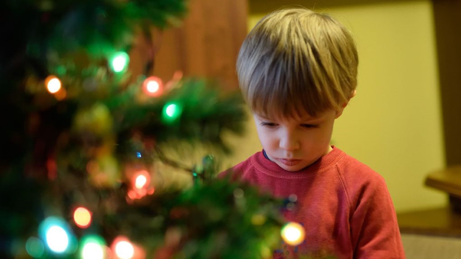 Podle nového průzkumu se až dvě třetiny Čechů na&nbsp;Vánoce uskromní