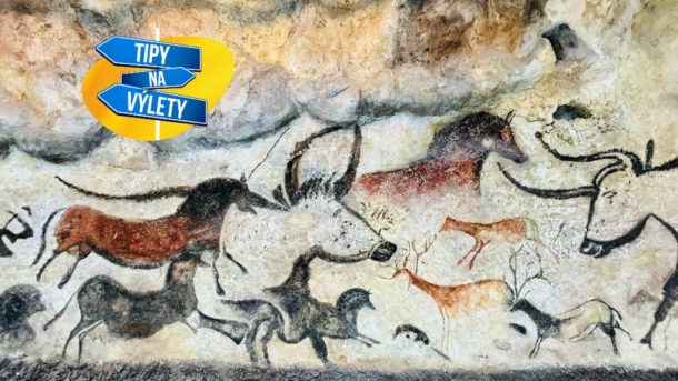 Portál do pravěku za mamuty, lovci a&nbsp;sběrači najdete v&nbsp;Pavilonu Anthropos v&nbsp;Brně