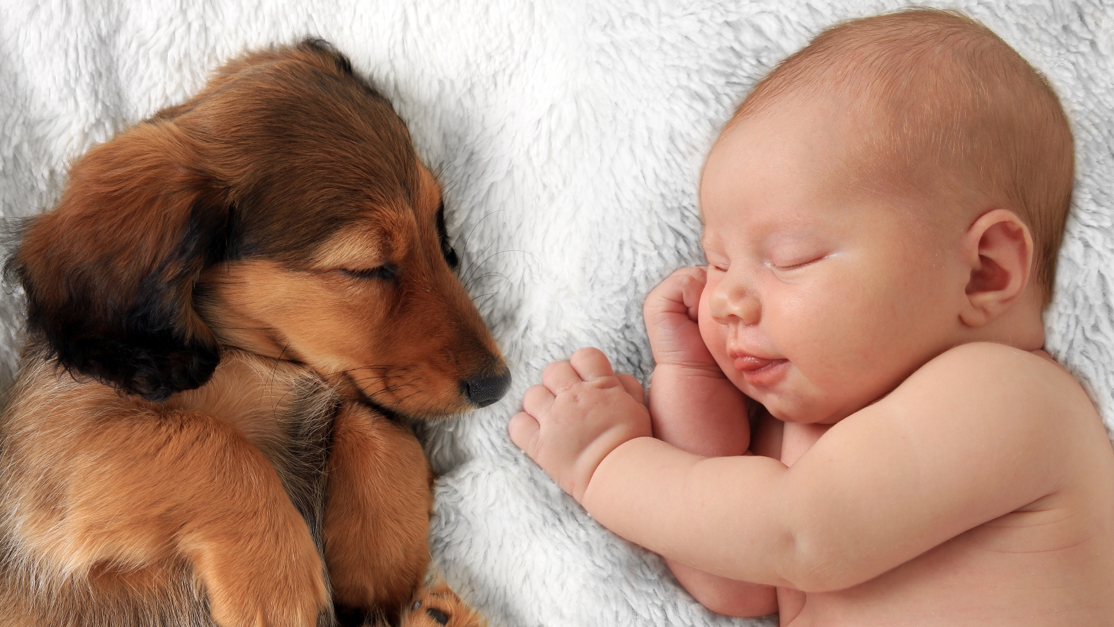 Jako vejce vejci! Psi a&nbsp;děti jsou občas jak přes kopírák. Stačí je jen chvíli pozorovat