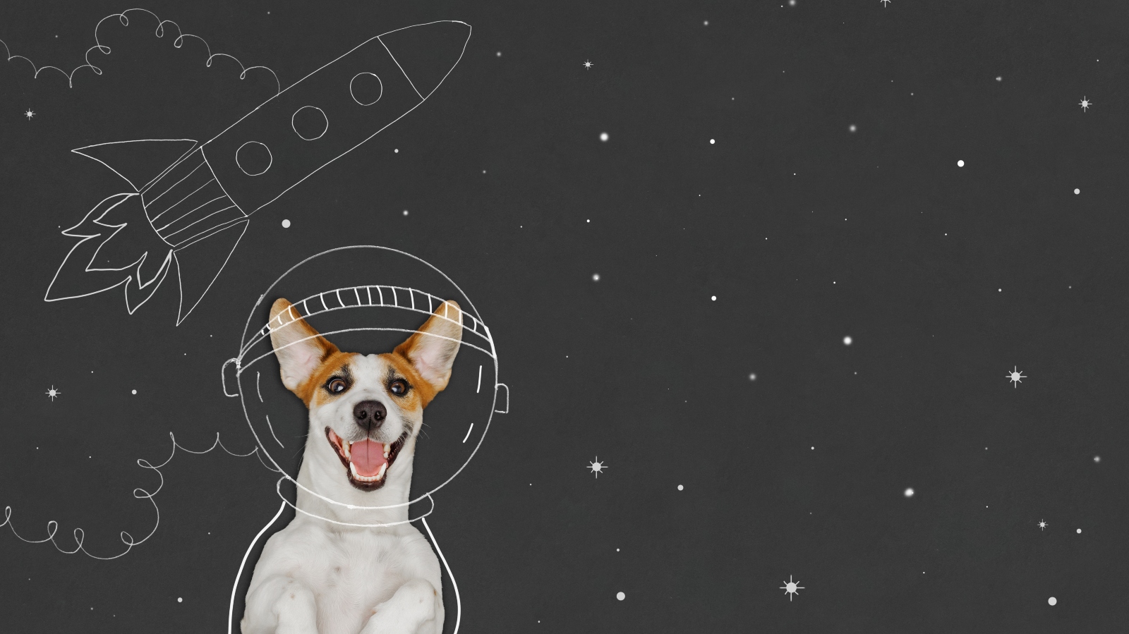 I psi mají své sny. Podle chování zjistíte, co je jejich vysněné povolání