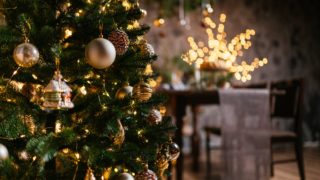 Vánoční jedlička v&nbsp;květináči  poslouží stejnému účelu jako řezaný strom. Nutí lidi o&nbsp;Vánocích přemýšlet jinak