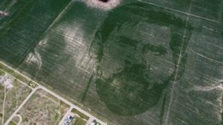 Farmář v&nbsp;Argentině zvěčnil podobiznu Lionela Messiho v&nbsp;kukuřičném poli