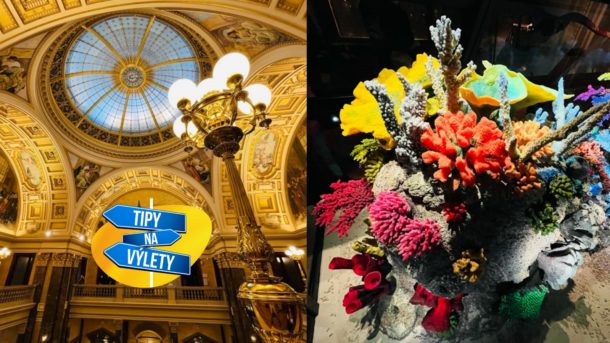 Dominanta Václavského náměstí je třeba vidět i&nbsp;zevnitř. Národní muzeum za jeden den neprojdete