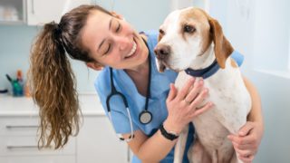 Udělejte pejskovi návštěvu veterináře snesitelnější. Poradíme vám jak