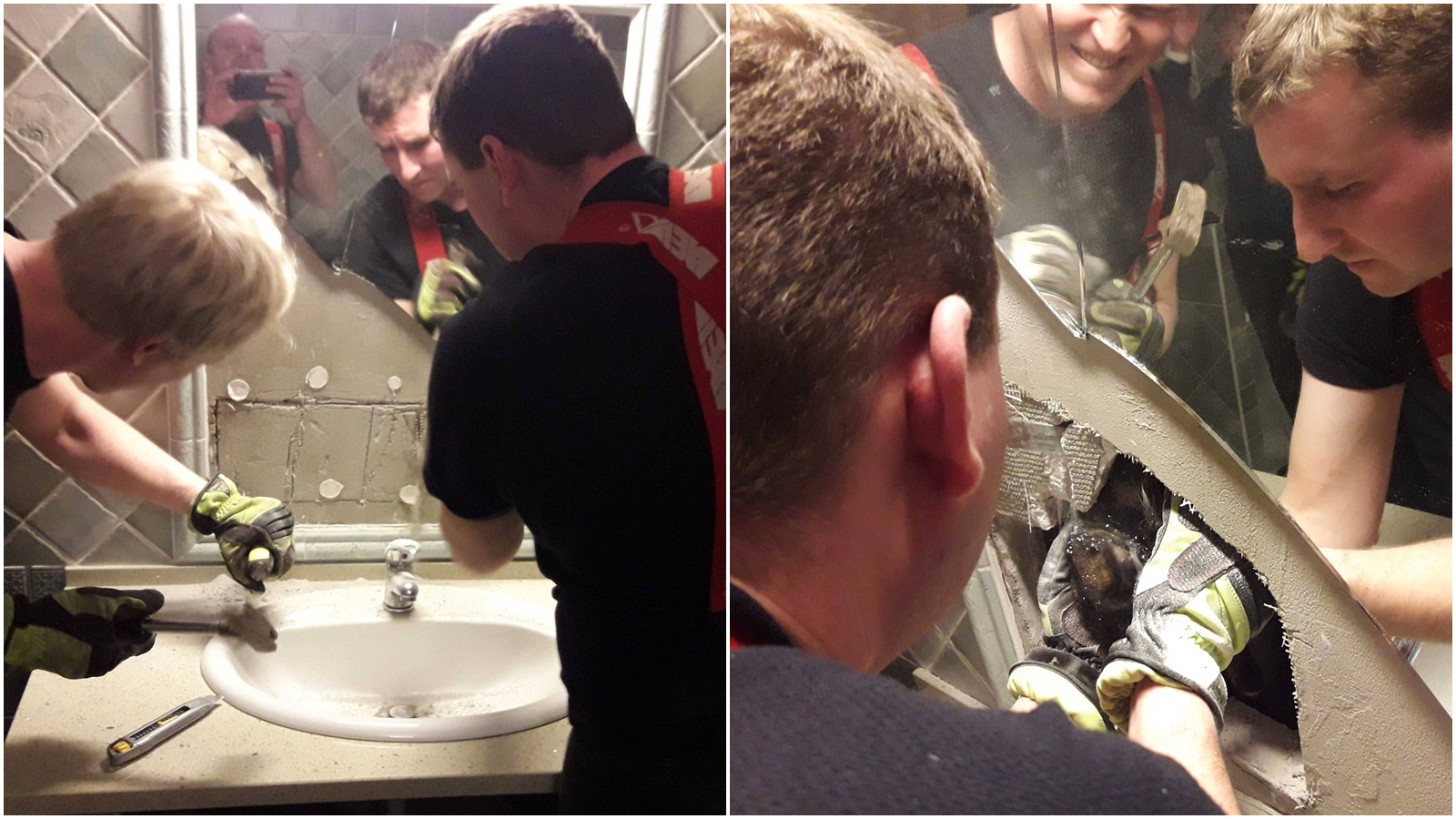 Kočka uvízla mezi vodovodními trubkami za zrcadlem. Vyprostili ji až přivolaní hasiči