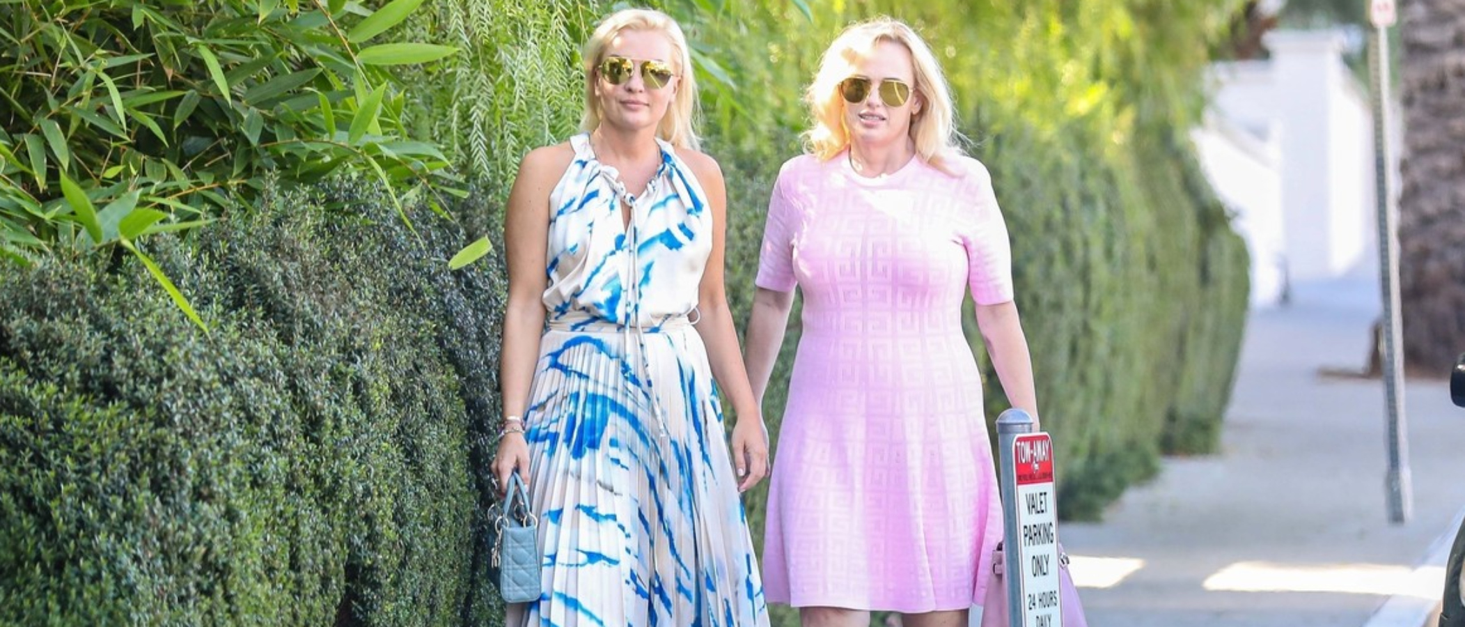 Rebel Wilson je zasnoubená. Požádala o ruku svou partnerku v Disneylandu