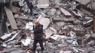 Češi pomáhají hledat přeživší po&nbsp;ničivém zemětřesení v&nbsp;Turecku. Zásluhu na&nbsp;tom má i&nbsp;fenka Terezka