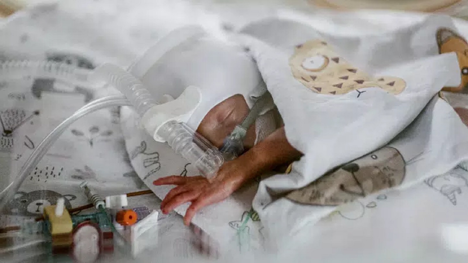 Matka v Polsku porodila paterčata: Doma má dalších sedm dětí
