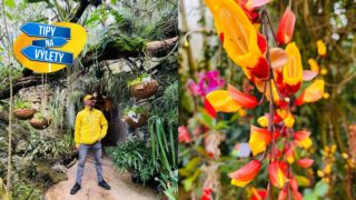 Máte rádi orchideje? V&nbsp;Botanické zahradě v&nbsp;Praze mají celou vietnamskou džungli