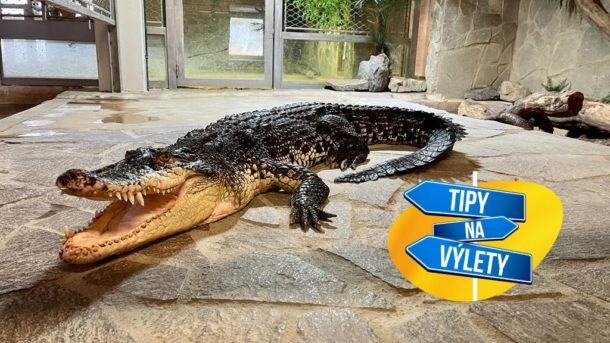 Máte rádi blízkost nebezpečí? Vydejte se na&nbsp;zubaté krokouše do Protivína