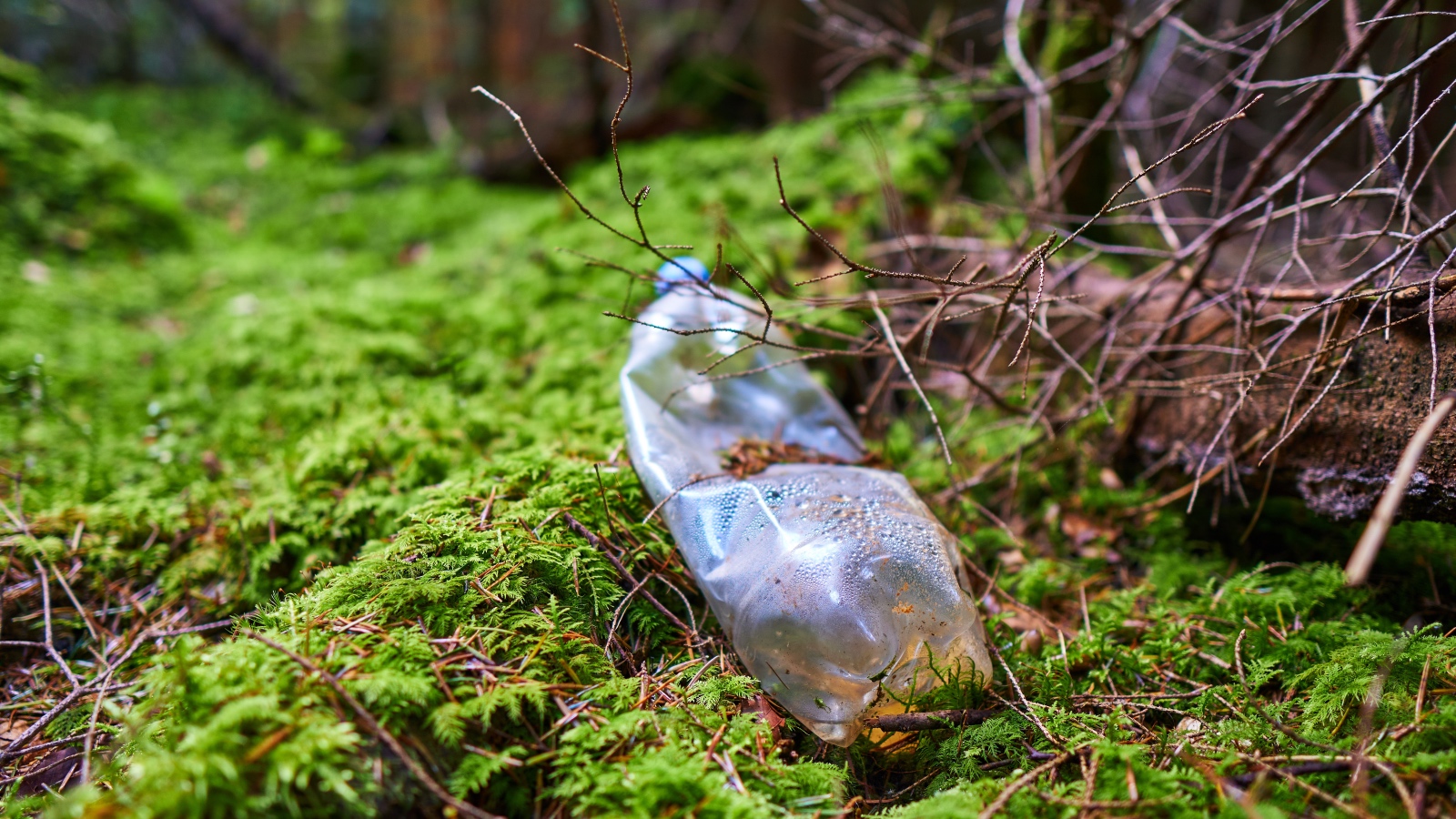 Lidé i&nbsp;přes zákazy chodí do míst, kam nemají. Problémem jsou i&nbsp;odpadky, vyváží se do přírody, říká zakladatelka Pražské pastviny