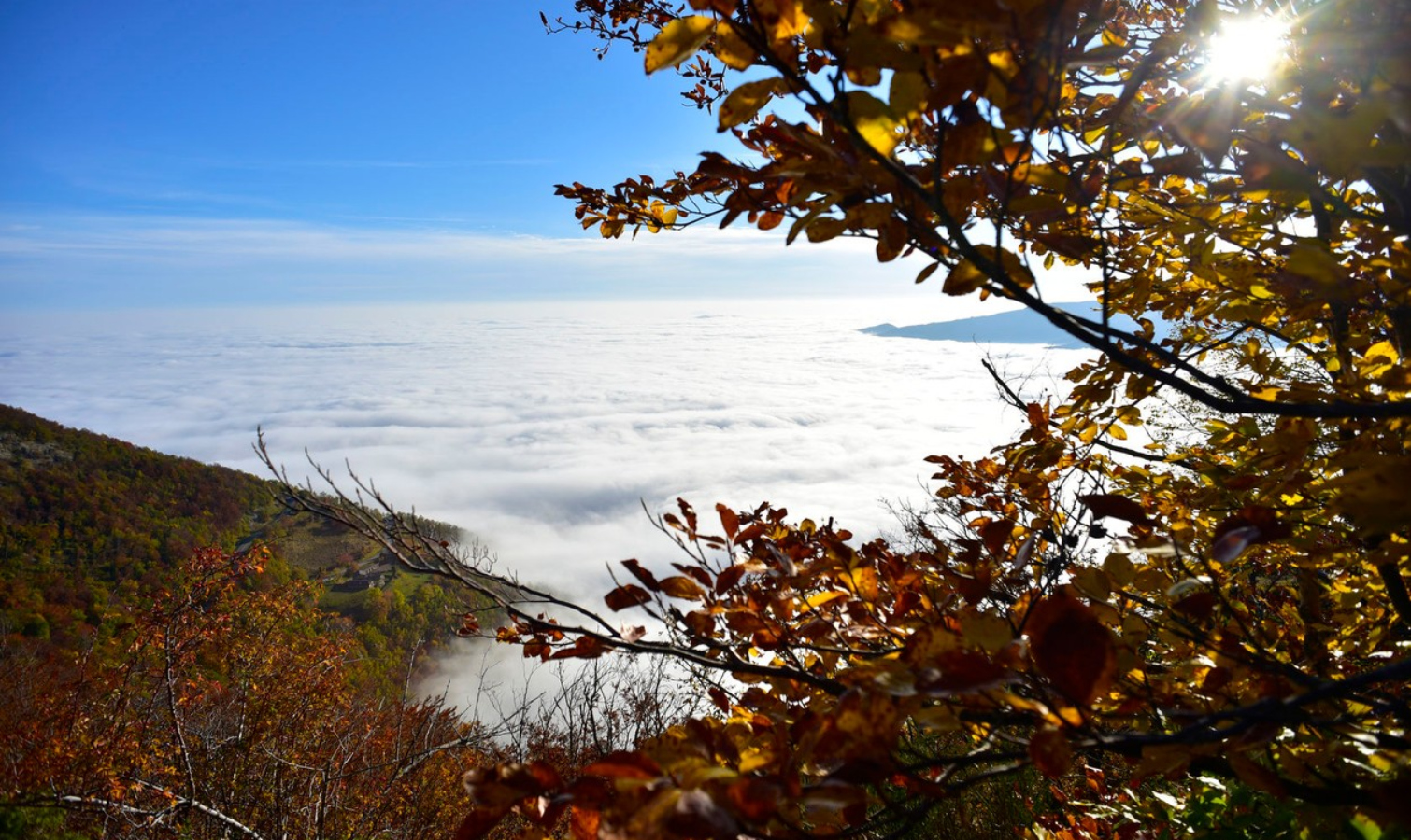 23.&nbsp;března je Světový den meteorologie. Už naše babičky měly triky, jak poznat vývoj počasí v&nbsp;následujícíh hodinách