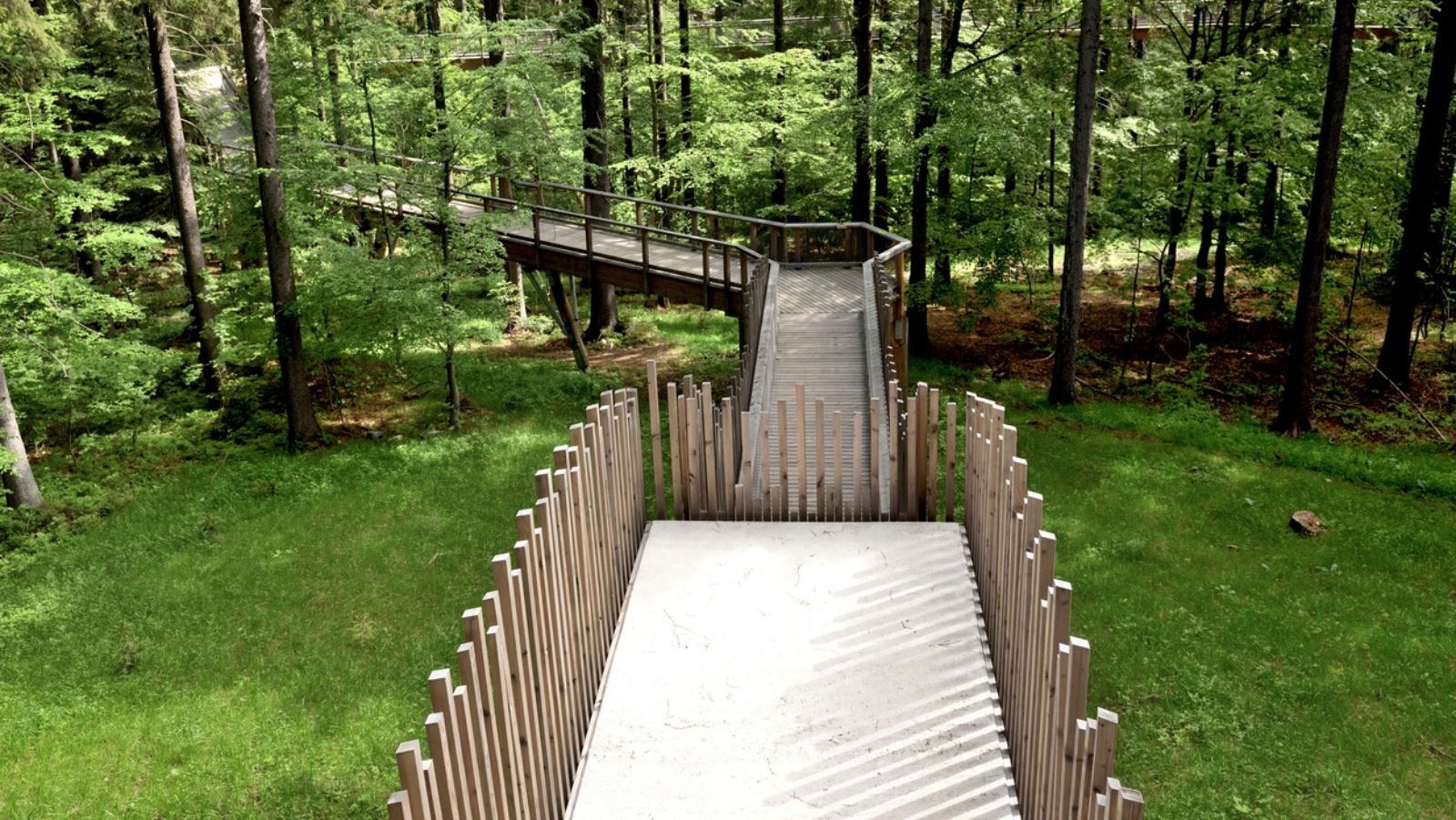 Stezka korunami stromů, ale bez stromů. Maďaři vykáceli les, na&nbsp;který měl být výhled