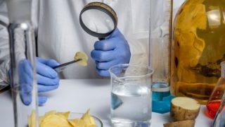 I tímhle se lidé živí! Jaká jsou nejdivnější zaměstnání na&nbsp;světě?