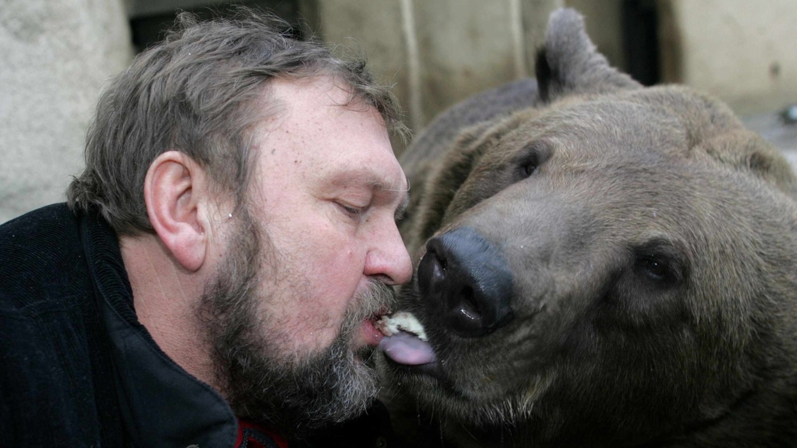 Smutná zpráva z&nbsp;Berouna. V&nbsp;Zoo zemřel večerníčkový medvěd Matěj, ze známé trojce žije jen jeden