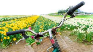 Na letní teploty okolo 25°C si počkáme minimálně do druhé poloviny května, říká meteoroložka