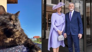 Marodná Micka: Když prezidentský pár odletěl do Londýna, první kočička doma trpěla