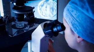 Přelom ve vědě? V&nbsp;Británii se poprvé narodily děti s&nbsp;DNA tří lidí