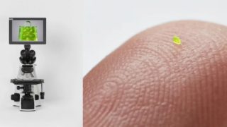 Značkové kabelky jsou velkou vášní. Ta menší než zrnko soli se prodala za 1,4 milionu korun