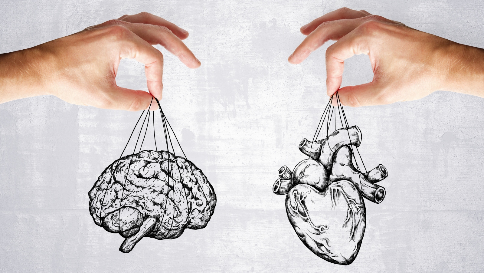 Co vidíte na&nbsp;obrázku jako první? Zjistěte, zda se řídíte hlavou nebo srdcem