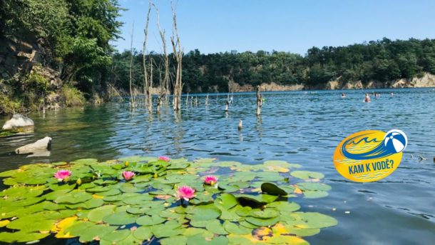Umělý biotop v Mašovicích si oblíbili potápěči, plavci, ale i čolci a užovky