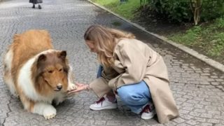 Dnes může být člověk čímkoliv. Muž z&nbsp;Japonska si splnil sen a&nbsp;stal se psem