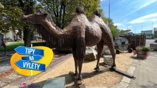 Nelíbí se vám zvířátka zavřená v&nbsp;klecích? V&nbsp;Kovozoo rozhodně žádné zvíře netrpí