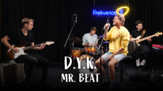 Vojtěch Dyk – Mr. Beat
