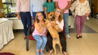 V Portugalsku na&nbsp;radnici zaměstnali psa. Dostal smlouvu na&nbsp;dobu neurčitou