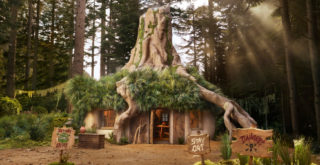 Milujete Shreka? Máte možnost strávit dvě noci ve slavné zlobří bažině