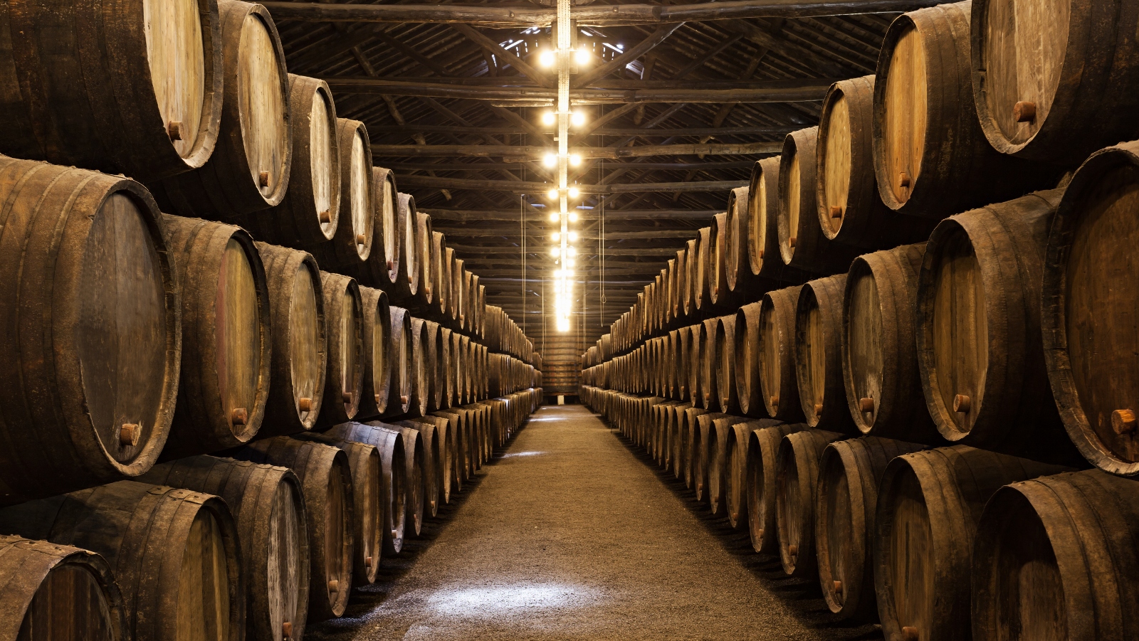 Dařbuján a&nbsp;Pandrhola po&nbsp;portugalsku. Ulicemi tekly miliony litrů vína