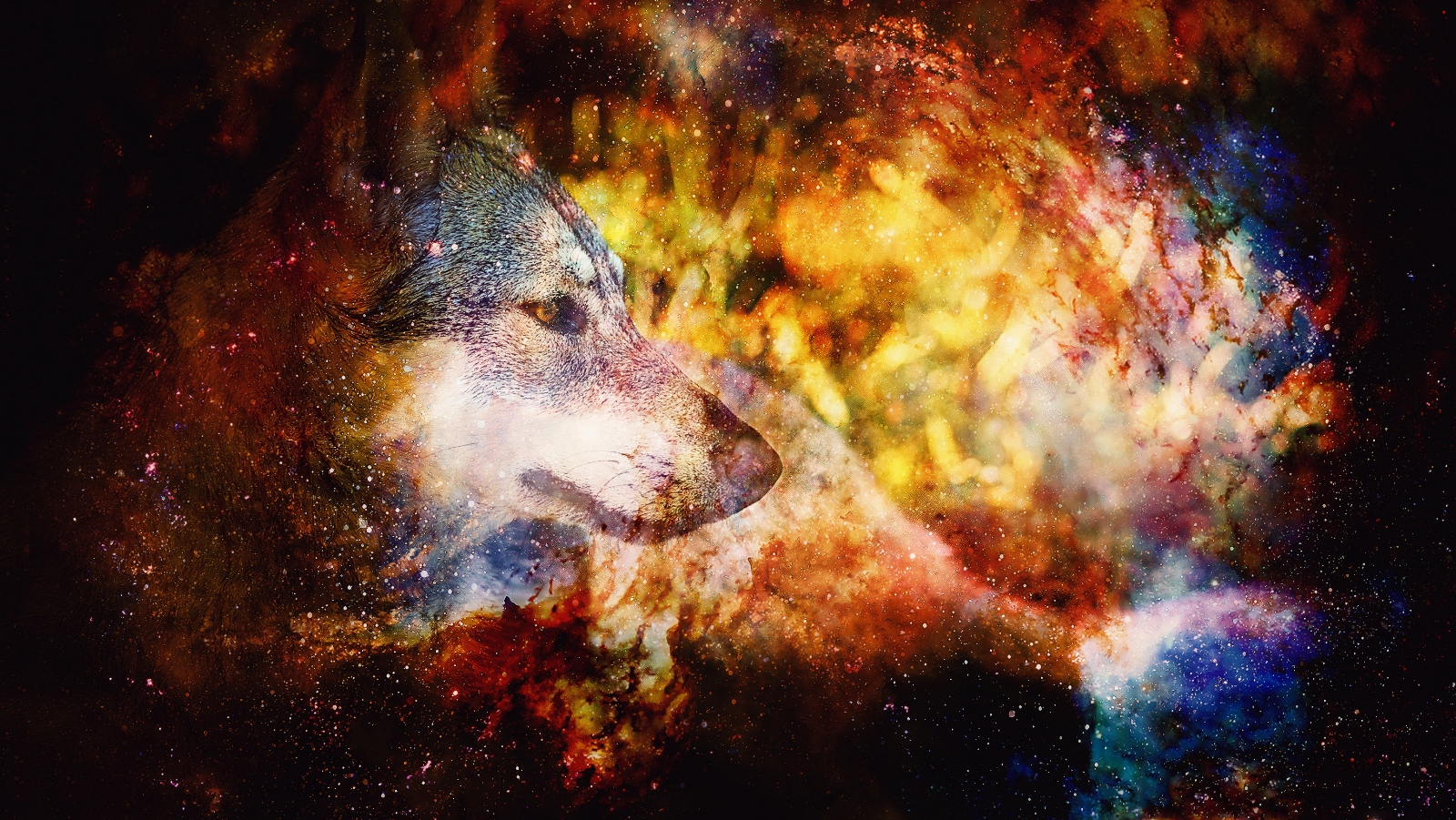 Jaké je vaše posvátné zvíře, které ovlivňuje celý život? Stačí vědět, který den v&nbsp;týdnu jste se narodili